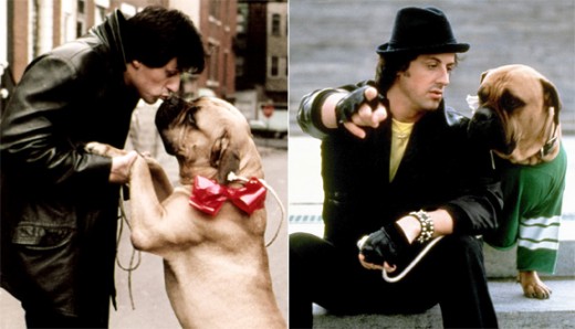 Sly Stallone with his dog